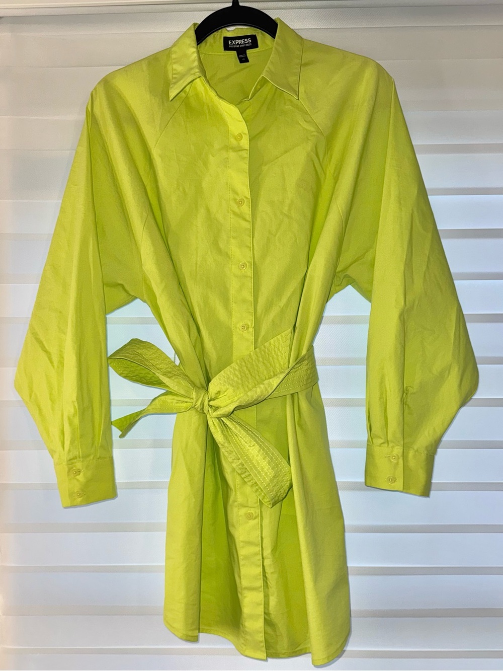 Express Lime Collared Shirt Dress